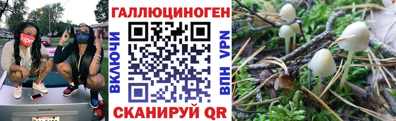 Псилоцибиновые грибы Cubensis  Купить где  Туапсе 